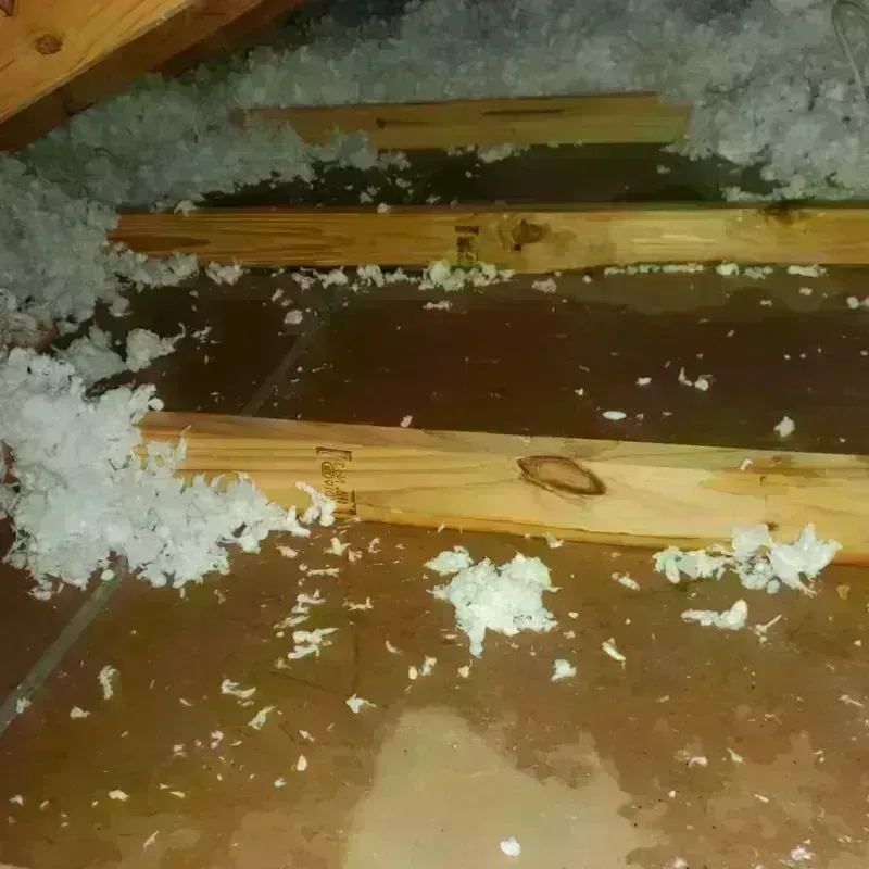 Attic Water Damage in Perry, NY