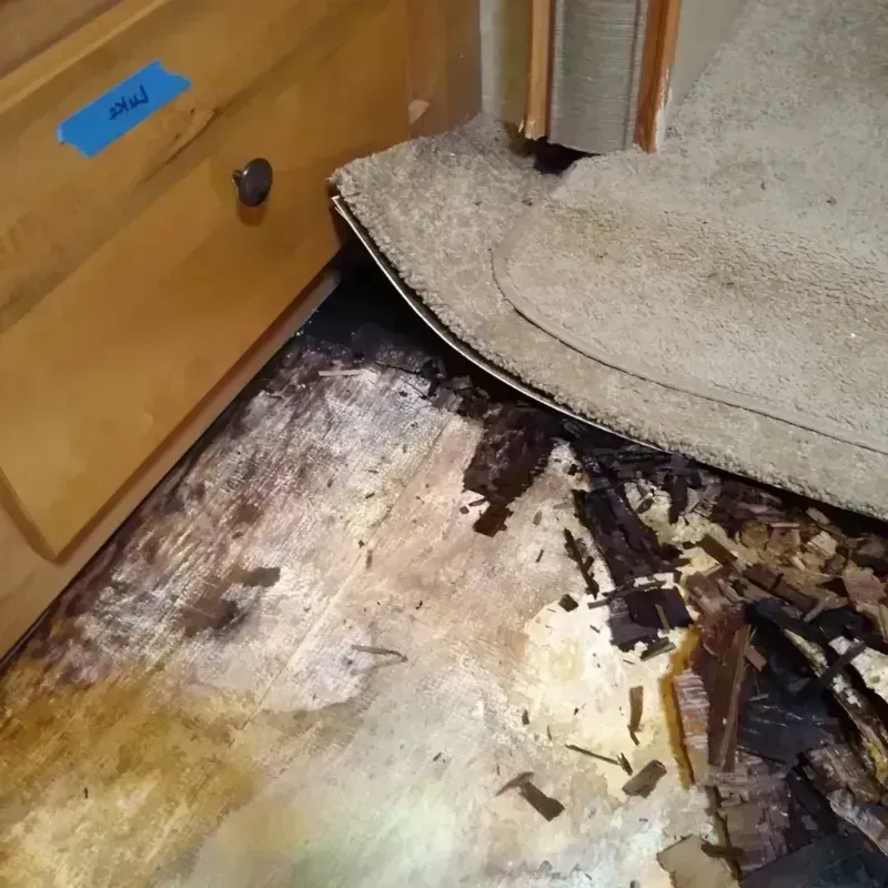 Wood Floor Water Damage in Perry, NY